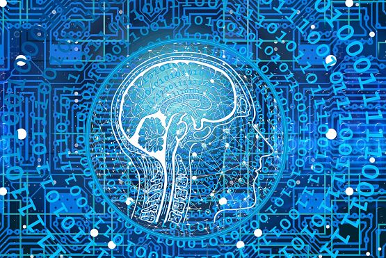 Cerveau et digitalisation