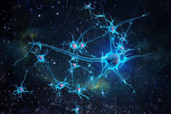 Réseau de neurones